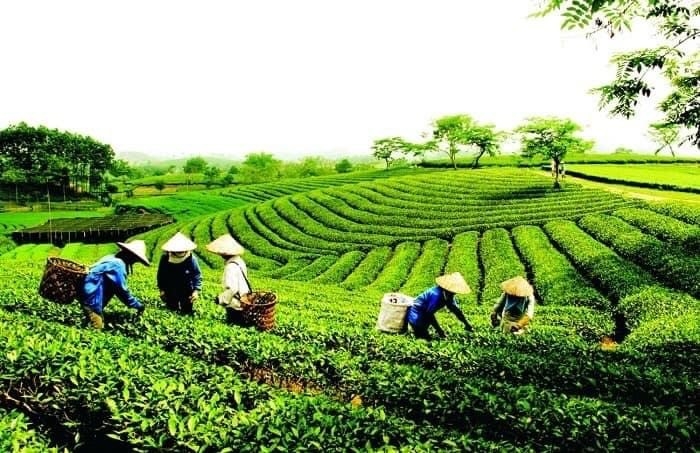 Bài ca sâu lắng về “Thủ đô gió ngàn”