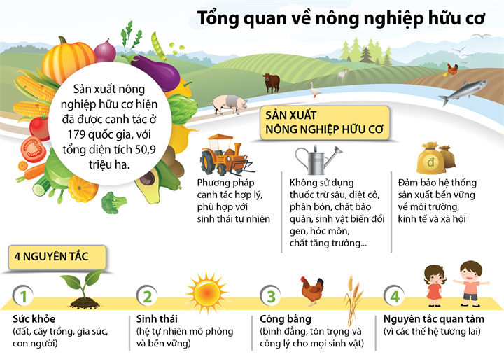 [Infographic]Tổng quan về nông nghiệp hữu cơ