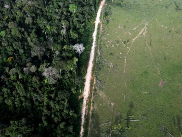Những bức ảnh cho thấy con người đã phá hủy rừng Amazon như thế nào?