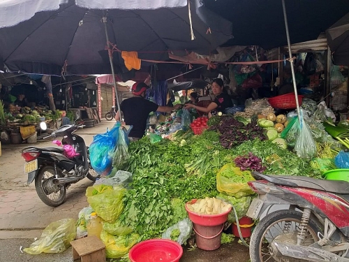 Phát triển ngành phân phối Việt Nam: Cân bằng giữa kênh phân phối hiện đại và truyền thống