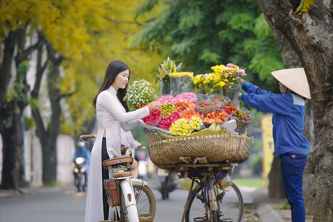 Mùa thu Hà Nội đã đến với những cơn gió se lạnh kéo theo tấm chăn ấm áp mỗi buổi sáng. Hãy cùng ngắm nhìn những tán cây lá đỏ rực vàng óng ả trên khắp vùng thủ đô.