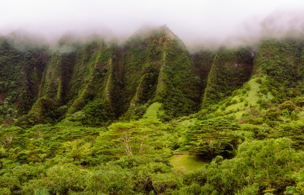 Hawaii tựa thiên đường qua 20 khung hình đẹp như mơ