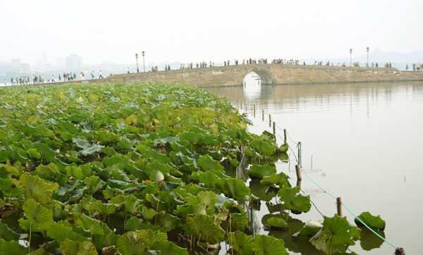 goi-y-an-choi-noi-thien-dang-duoi-ha-gioi-hang-chau-2