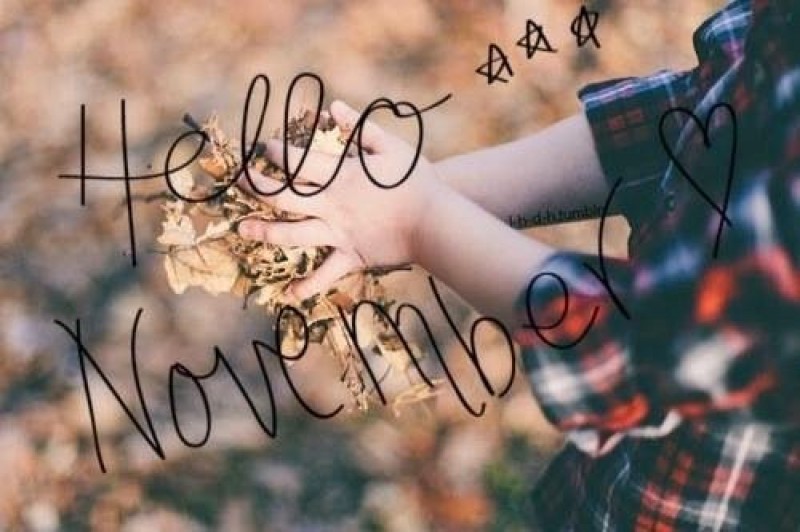 Tháng 11 yêu thương: Đây là tháng của sự ấm áp và sự yêu thương. Nhiều sự kiện và món quà đặc biệt sẽ đến với bạn và gia đình. Hãy cùng xem những hình ảnh đẹp và tận hưởng mùa đông dành cho những trái tim yêu thương.