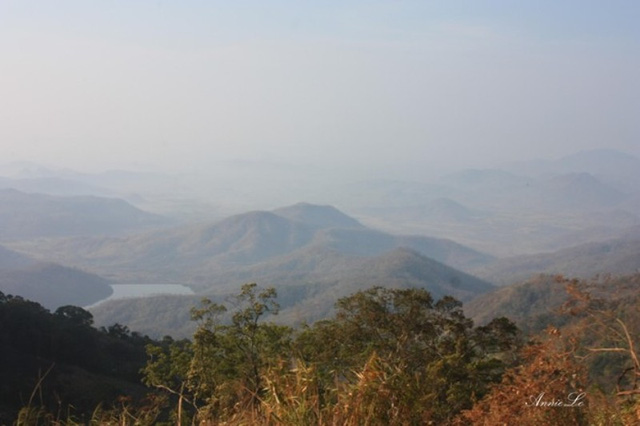 lam dong thien duong cua nhung thang canh than tien