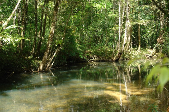 lam dong thien duong cua nhung thang canh than tien