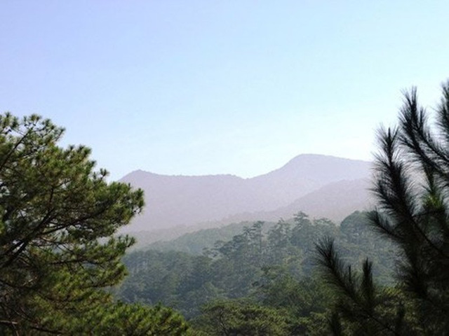 lam dong thien duong cua nhung thang canh than tien