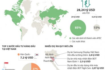 [Infographic] Dấu ấn các nền kinh tế thành viên APEC đầu tư vào Việt Nam
