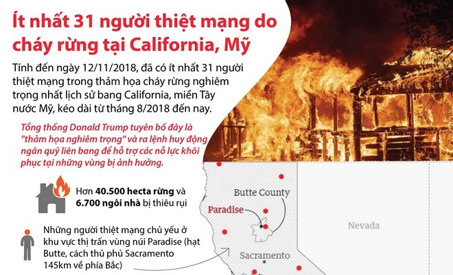 [Infopraphics] Cháy rừng tại California, ít nhất 31 người thiệt mạng