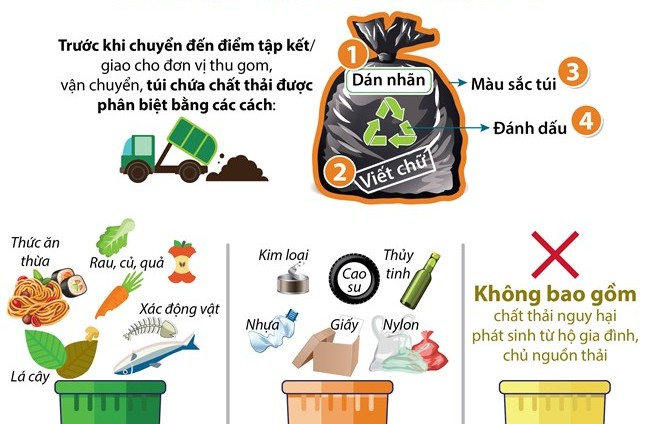 TP.HCM phân loại chất thải rắn sinh hoạt tại nguồn như thế nào?