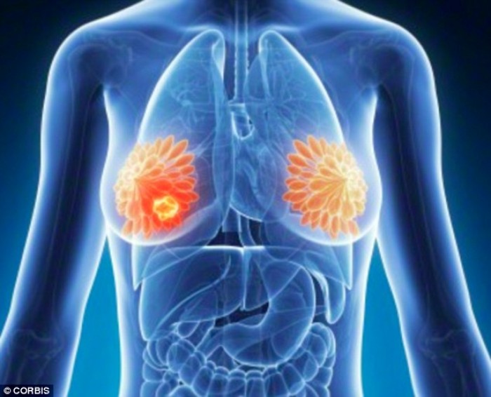 Cà rốt có tác dụng giảm nguy cơ mắc bệnh ung thư