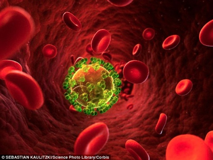 Liệu pháp kháng thể mới chống virus HIV trong 2 tuần