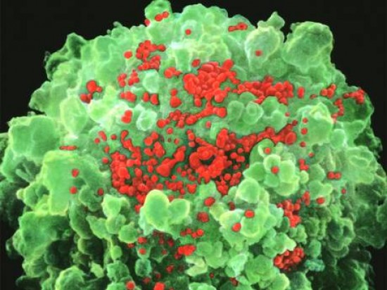 Bước đột phá mới trong điều trị HIV bằng liệu pháp kháng thể