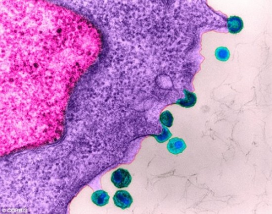 Bước đột phá mới trong điều trị HIV bằng liệu pháp kháng thể