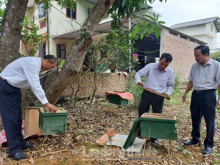 Tích cực triển khai Chương trình mỗi xã một sản phẩm ở Sơn Tây