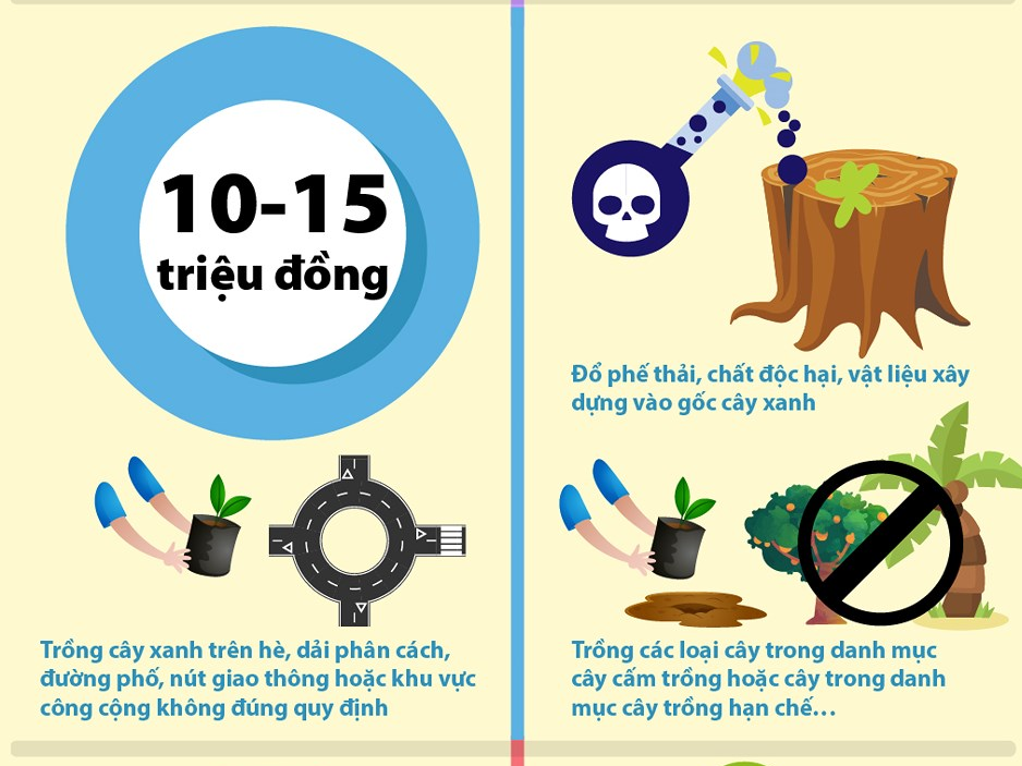 Từ 15-1: Trồng cây sai chỗ có thể bị phạt đến 15 triệu