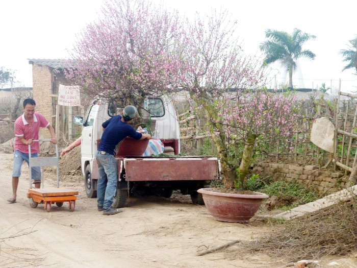 Nhọc nhằn mưu sinh dịp cuối năm