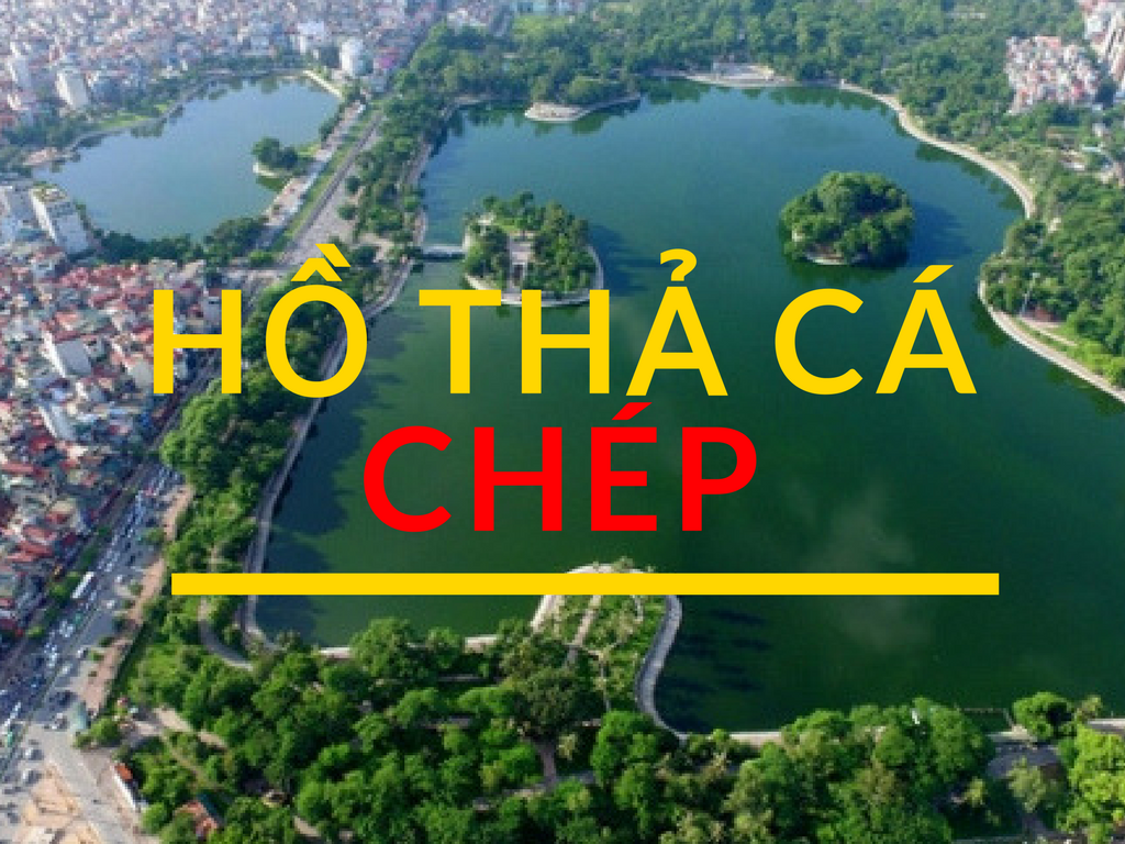 Sông, hồ nào tốt nhất ở Hà Nội để thả cá chép?
