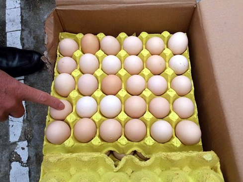 Bắt hai vụ vận chuyển gần 2 vạn quả trứng gà lậu ở Móng Cái trong đêm
