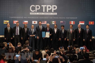 Chuyên gia Singapore: Việt Nam cần cải cách để tận dụng cơ hội CPTPP