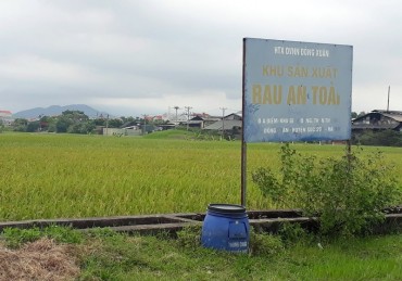 Nông sản Việt vẫn gặp khó khi vươn ra thế giới