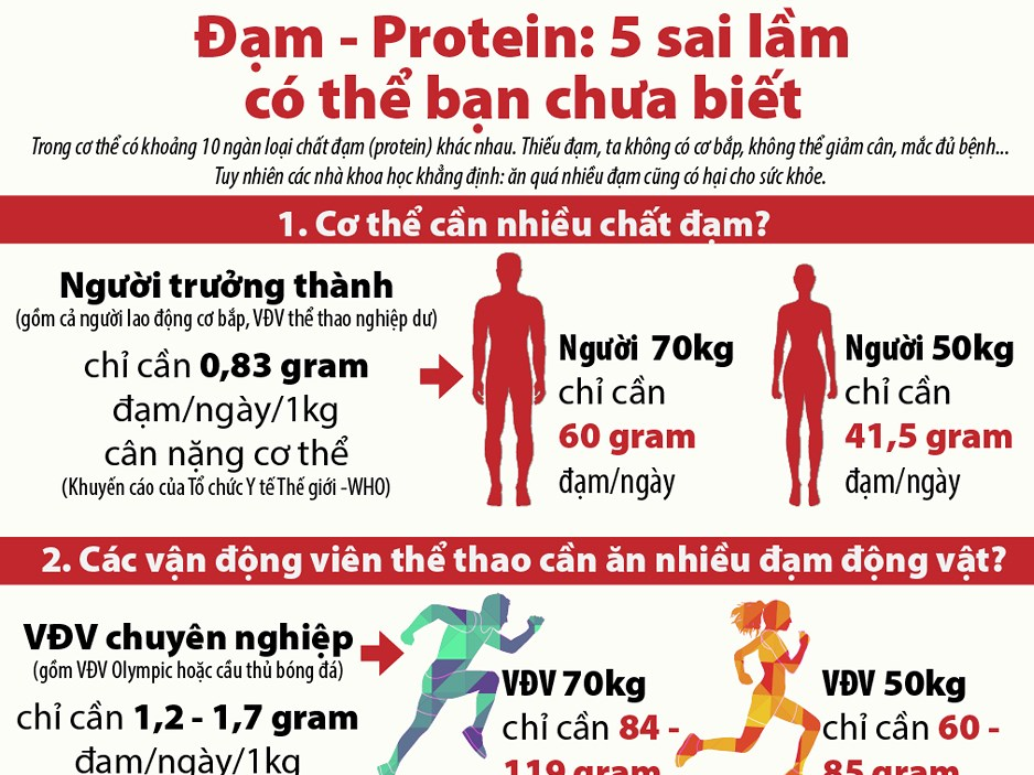 Đạm, Protein: 5 sai lầm có thể bạn chưa biết