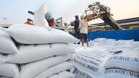 Cơ hội lớn cho doanh nghiệp Việt xuất khẩu gạo sang Philippines
