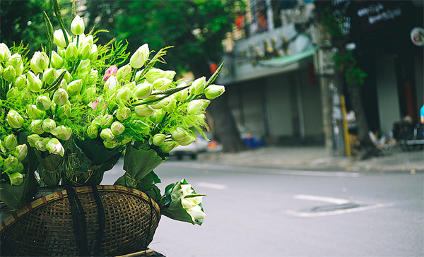 Hà Nội nắng trở lại, tiết trời oi bức