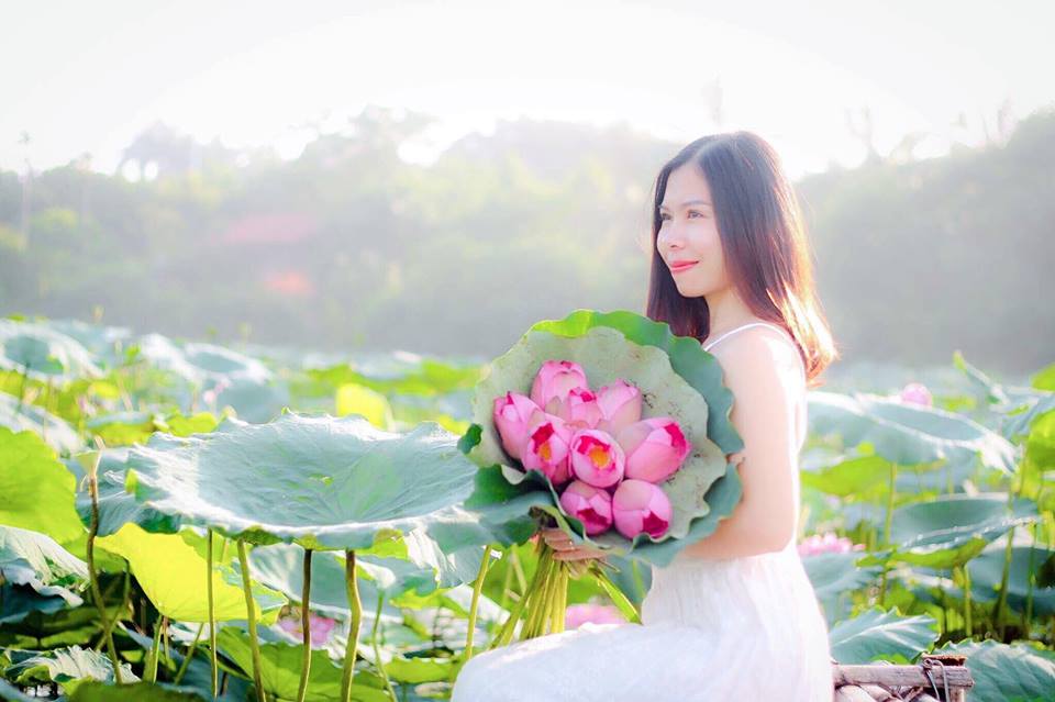 Sắc sen hồng rực rỡ, tươi sáng và tinh khôi như một bức tranh thơ. Loài hoa sen này mang đậm nét đẹp độc đáo của văn hoá Việt Nam, là biểu tượng của sự thanh tao và sự trưởng thành. Hãy xem bức hình này và cảm nhận vẻ đẹp tuyệt vời của sắc sen hồng.