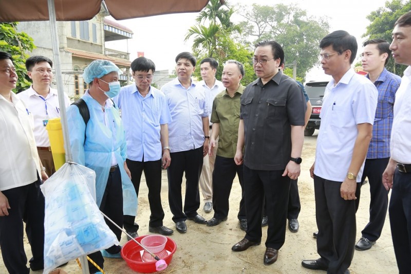 Phòng chống dịch tả lợn châu Phi: Không được phép lơi là, buông lỏng