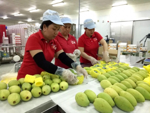 Nông sản Việt Nam: Nỗ lực đạt mục tiêu xuất khẩu