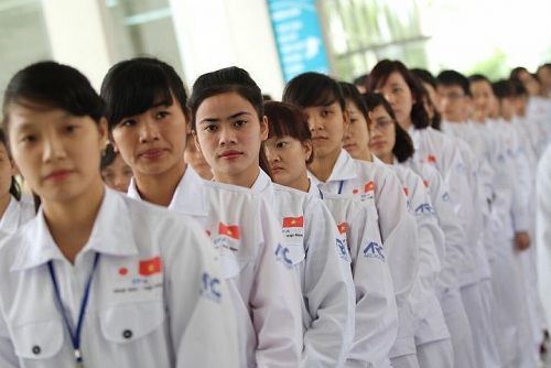 Lao động Việt Nam ngày càng có sức hút