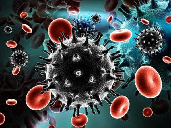 Phát hiện ra kháng thể mới có thể giết chết 99% các chủng HIV