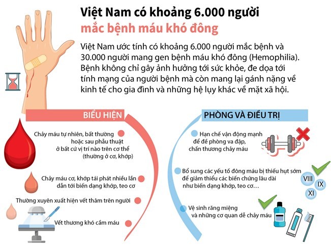 [Infographics] Việt Nam có khoảng 6.000 người mắc bệnh máu khó đông