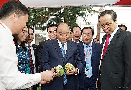 Thủ tướng Nguyễn Xuân Phúc: Chúng ta cần một nền kinh tế mạnh
