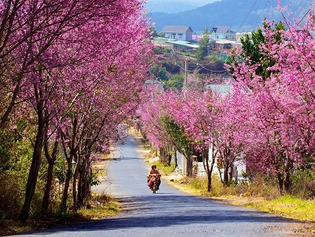 Du lịch dịp Tết: Bạn chọn điểm đến nào?