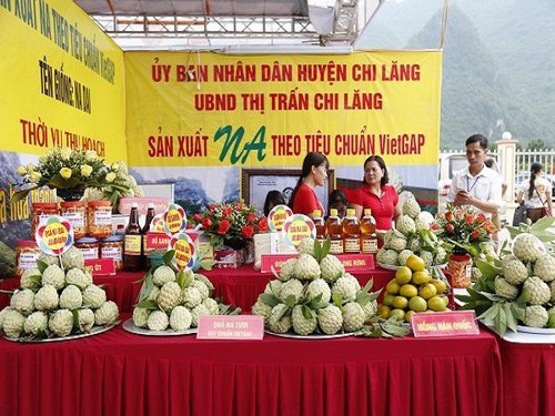 tng holdings vietnam chap canh thuong hieu na chi lang