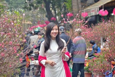 Hà Nội mở 60 điểm chợ hoa Xuân 2017
