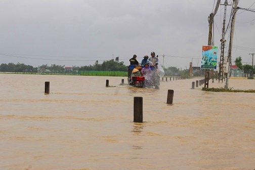 Thủ phủ làng mai miền Trung "dầm mình" trong lũ, lo vụ tết thất thu