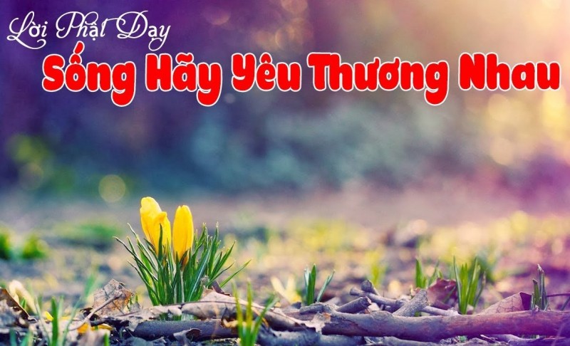 Yêu thương nhau mỗi ngày!