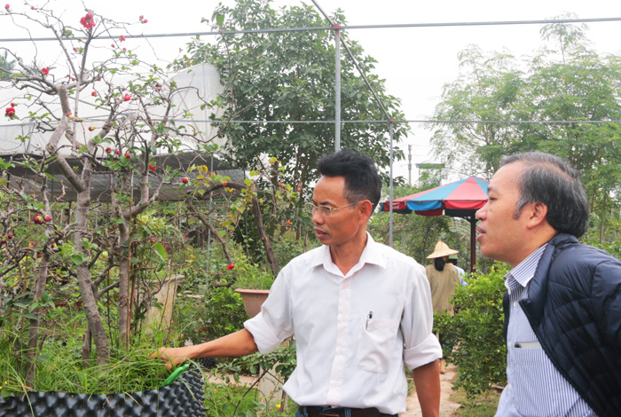 nguoi so huu tren 20000 goc hoa hong quy hiem tai ha noi