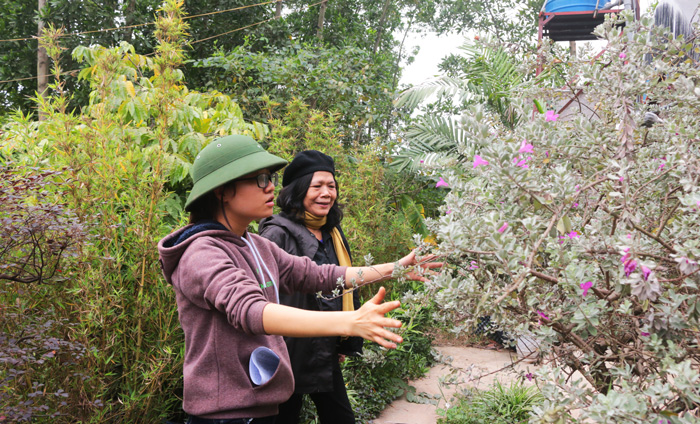 nguoi so huu tren 20000 goc hoa hong quy hiem tai ha noi