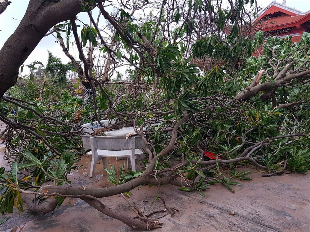 Bão Tembin băng qua Trường Sa, 90% cây cối bị gãy đổ