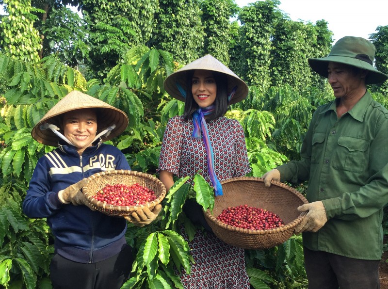 NESCAFÉ tự hào quảng bá cà phê Việt ra thế giới