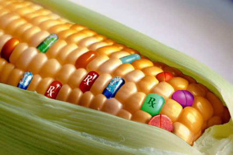 Nhiều học giả Nobel phản đối thực phẩm biến đổi gen
