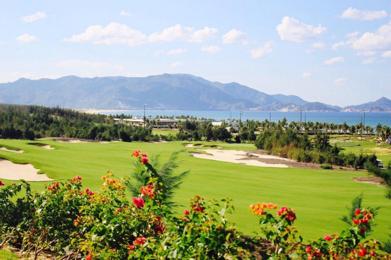 Đẳng cấp sân golf đẹp Top 3 châu Á - FLC Quy Nhơn Golf Links