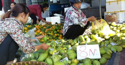 Chợ hoa quả đồng giá 8.000 đồng/kg ở Hà Nội