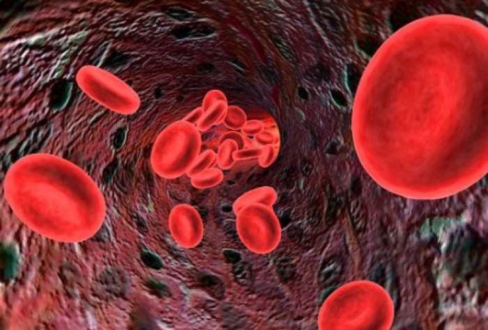 Hoàn Kiếm: Truyền thông bệnh thiếu máu, tan máu bẩm sinh (Thalassemia)
