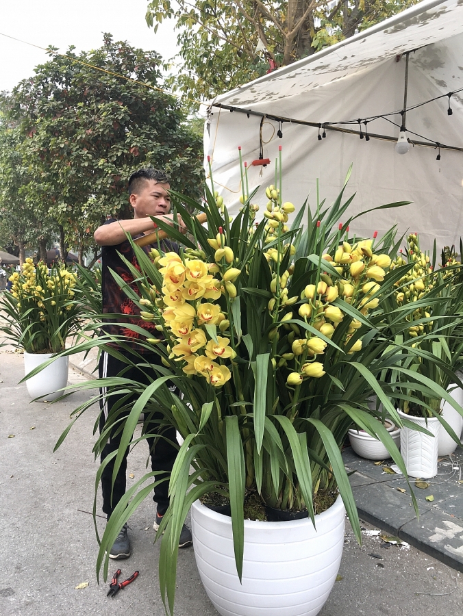 Chợ hoa Vạn Phúc rộn ràng vào Xuân
