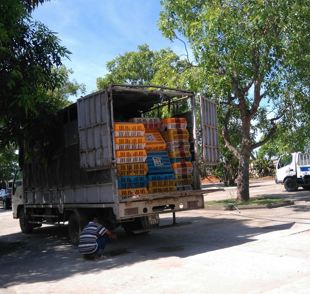 Bắt giữ xe tải vận chuyển gần 3 tấn gà không rõ nguồn gốc